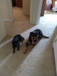 IMG_20180501_111206717001002003.jpg