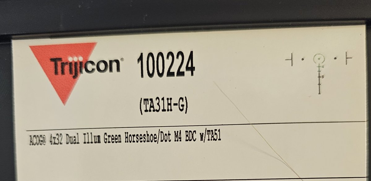 1000020797.jpg