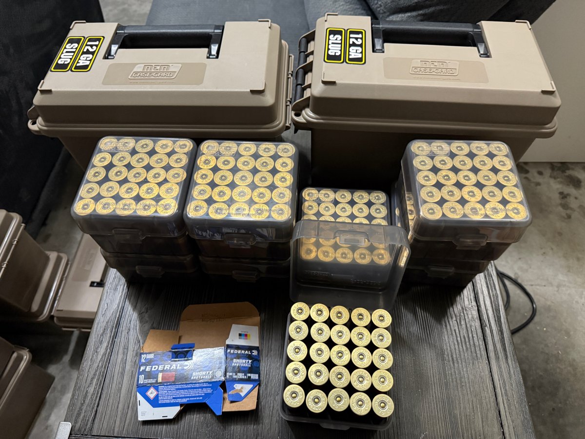 12GA SLUG - 1.JPG