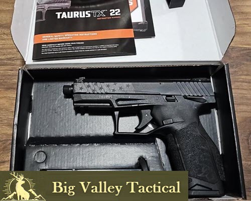 14884254_01_taurus_tx_22_pistol_640.jpg