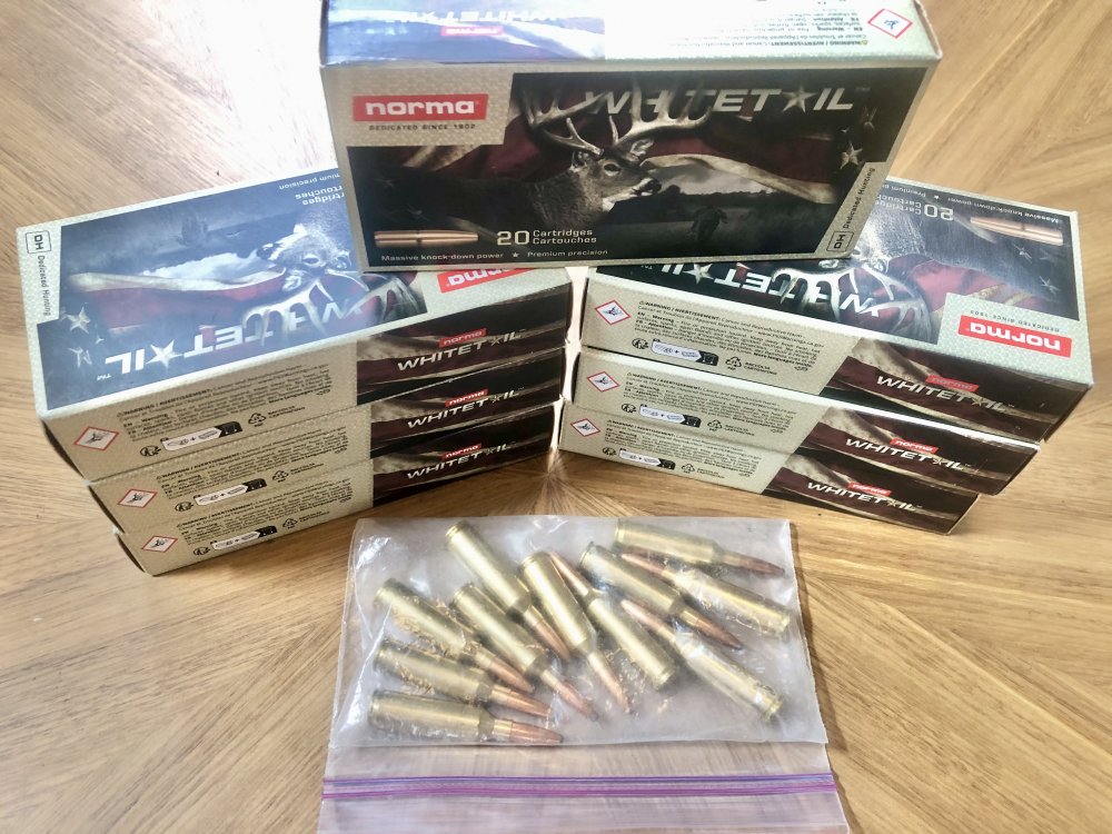 2025-11-11 11.03.35.jpeg