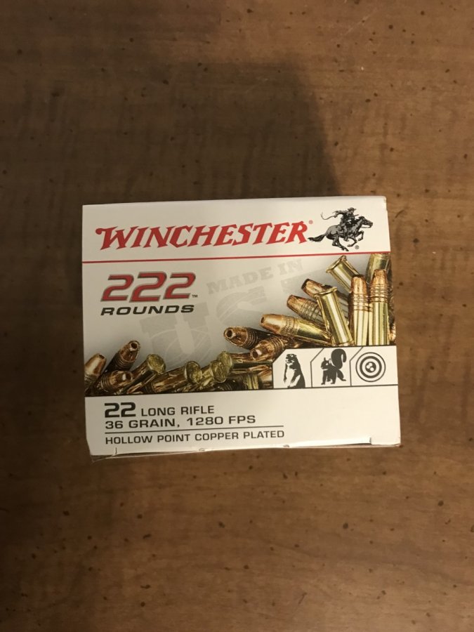 ammo 22 LR.jpg