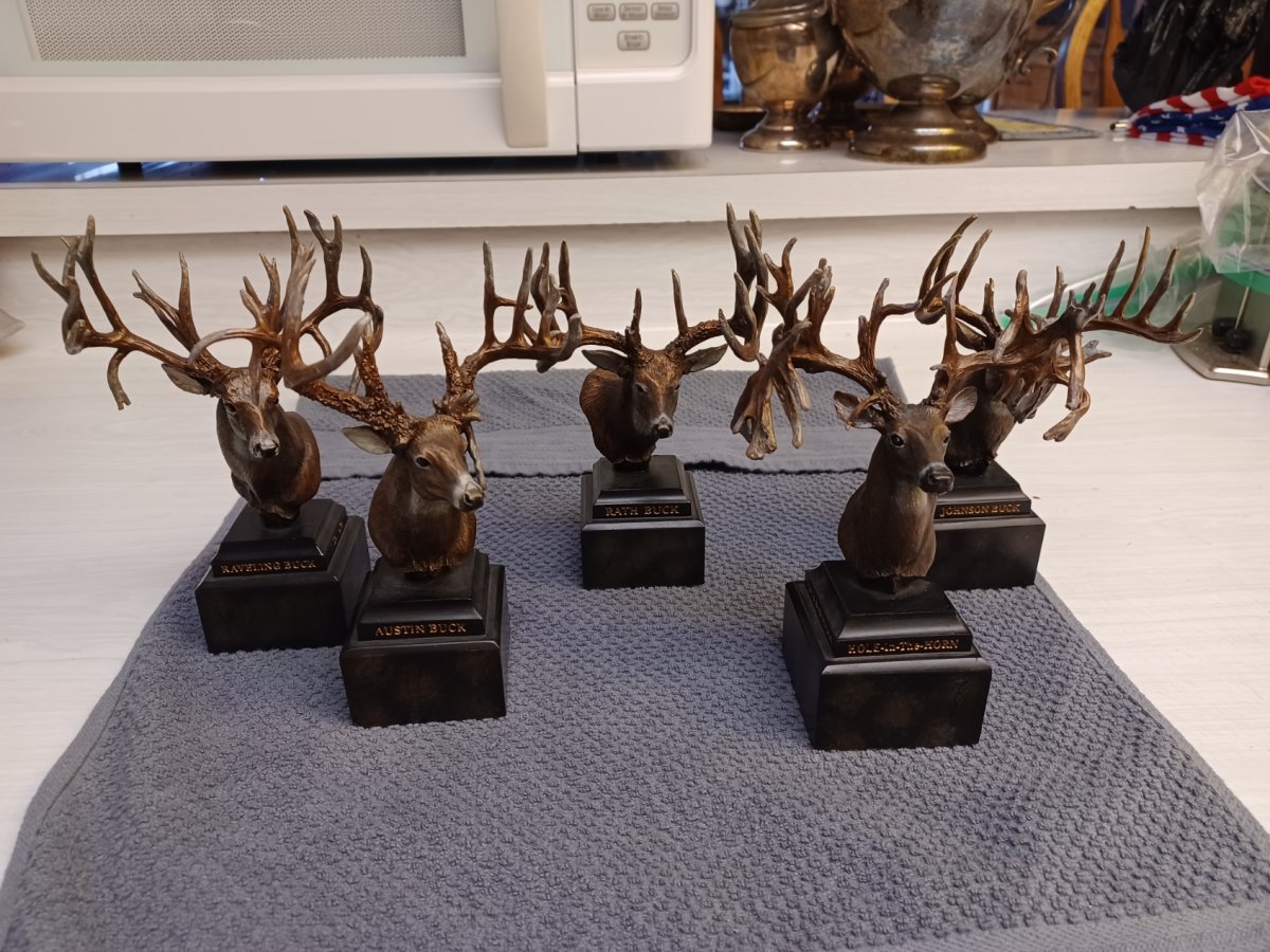 deer heads.jpg