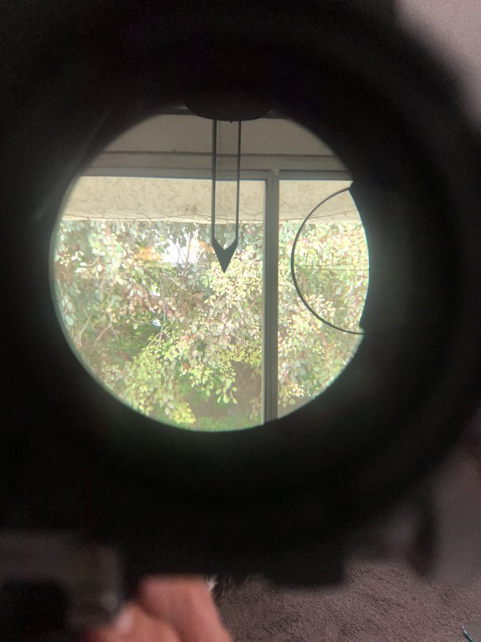 IMG_3956.jpeg
