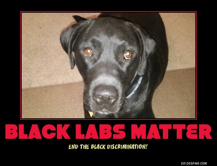 Jake-Black Labs Matter.jpg