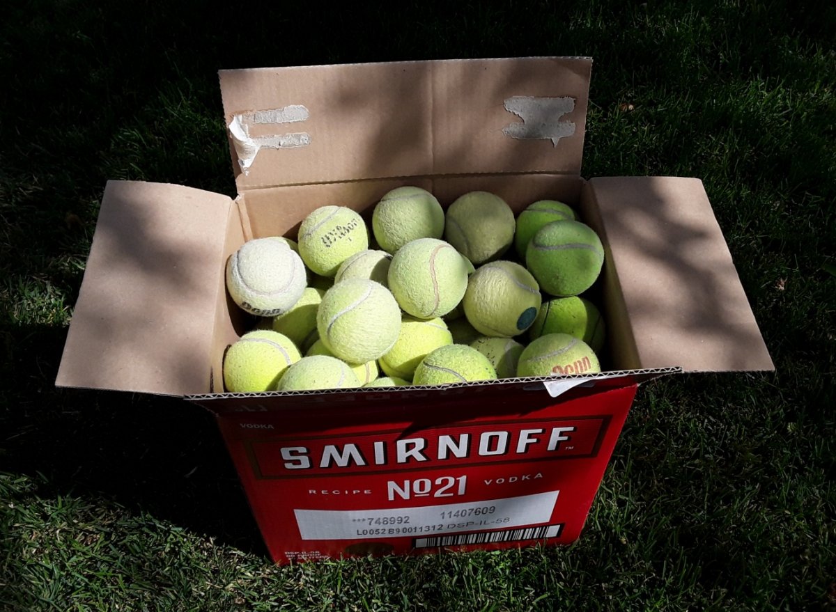 Tennis_Balls.jpg