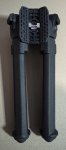 IMG_1590.jpeg