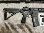 IMG_1744.jpeg