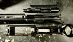 IMG_5677.jpeg