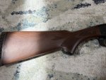BUTTSTOCK RIGHT.jpg