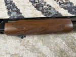 FOREND RIGHT.jpg