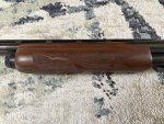 FOREND LEFT.jpg