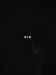 IMG_0358.jpeg