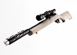 TS sbx-complete-rifle.jpg