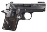 SIG 938 Equinox 2.jpg