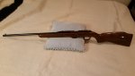 Remington 581 Walnut 1.jpg