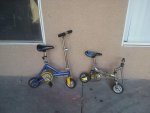 mini bicycles.jpg